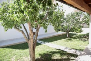 Villa Carmina - B&B Ginosa Marina